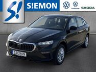 Skoda Scala, 1.0 TSI SELECTION, Jahr 2024 - Emsdetten