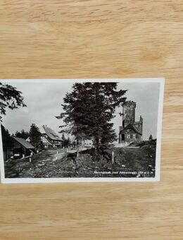 Ansichtskarte-AK-801-Hornisgrind im Schwarzwald. - Nörvenich
