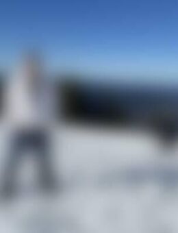 Art*** - Geisenhausen