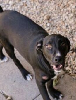 CIARA - zugänglich und aktiv - Overath