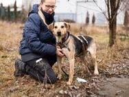 ehem. Straßenhund Elouan sucht dich - München