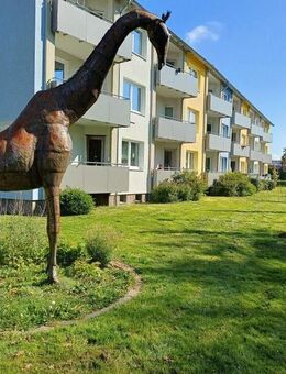 Moderne Wohnung sucht netten Mieter - Minden (Nordrhein-Westfalen)