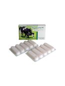 Feed farm Nachgeburtspille 10 Stk. --- Homöopathisch, Vorbeugung und Behandlung von Infektionen des Geburtskanals und der Gebärmutter in 52525