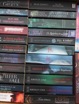 Fantasy Bücher Vampir-Romane LYX Taschenbücher etc. - Flensburg