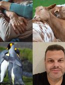 Kuschelbuddy / Kuschelpartnerin gesucht. in 45527