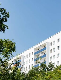 Hinein in die gute Stube - Halle (Saale)