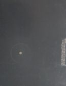 Tupper Schüssel in 88489