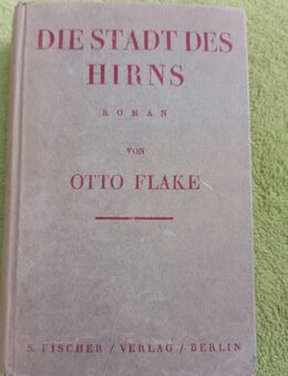 Die Stadt des Hirns Roman von Otto Flake - Kassel