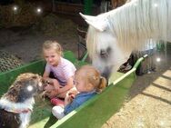 Kindergeburtstag feiern auf dem Pferdehof in Münster - Münster