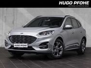 Ford Kuga, 1.5 ST-Line EcoBoost 110kW, Jahr 2023 - Oldenburg (Holstein)