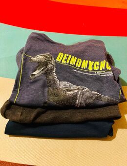 T- Tshirt Set Kind 3 Stück - Dorfen