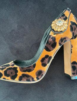 Dolce & Gabbana Schuhe … Klassiker in Größe 36 - Vellmar