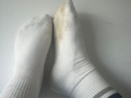 Duftende sportliche weiße Socken (2 Tage getragen) - Rosdorf (Niedersachsen)