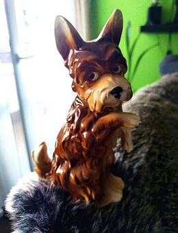 Schöner Porzellan/Keramik Hund - Berlin Reinickendorf