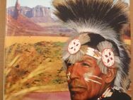 „Indianer ohne Tomahawks“, Sachbuch von Miloslav Stingl - Dresden