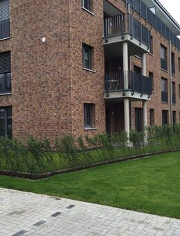 Emsauenpark - Exklusive 3 Zimmer-Küche-Bad-Erdgeschoss-Wohnung mit Terrasse und Garten zu verkaufen - Lingen (Ems)