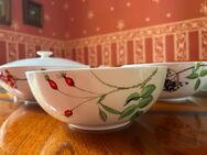 Porzellan Set 30 Villeroy & Boch | ALTE SERIEN - Bonn