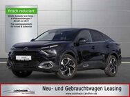 Citroen C4 X 1.2 PureTech 130 Shine //Navi/Kamera/Sitzheizung - Thannhausen