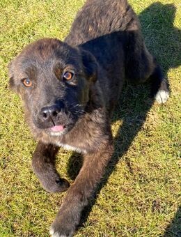 💙 𝐓𝐢𝐦𝐦𝐢 - Markkleeberg