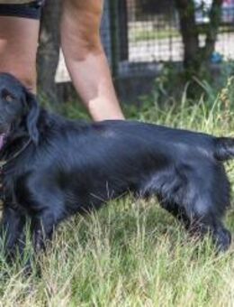 Benny - Herzensbrecher und Sonnenschein - Puchheim