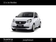 smart EQ forfour, 22KW, Jahr 2019 - Mölln (Schleswig-Holstein)