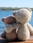 Freundschaft/ Bekanntschaft in 08525