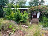 Gartengrundstück mit Bungalow in ruhiger grüner Lage - Radebeul