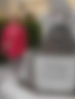 Ann*** - Neuenkirchen-Vörden