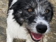 IRMA - hübsch und lustig - Weilheim (Oberbayern)