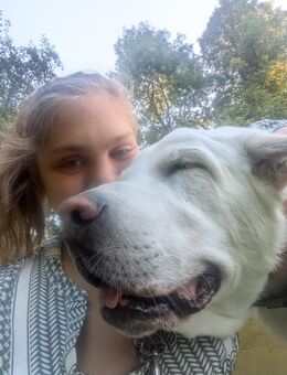 Mandela (Labrador-Allabei) - Aachen