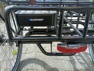 PROPHETE CARGO 3R 23.ESL. 10 E-Bike Dreirad Lastenrad schwarz - Nauheim