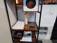 Kratzbaum Katze Feandrea mit Futterstation und Kloschrank - Radolfzell (Bodensee)