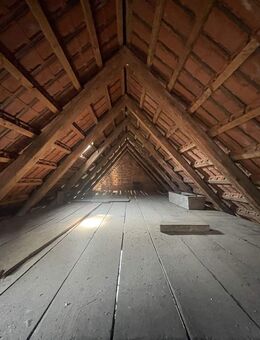 Bauernhaus mit Geschichte - Projektchance im Herzen der Hallertau - Wolnzach