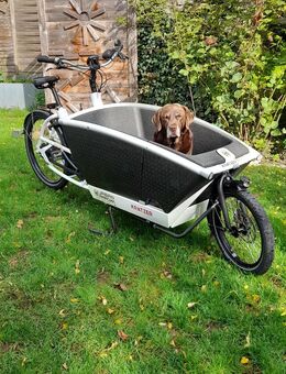 Urban Arrow Family Cargo e-Bike - Pörnbach