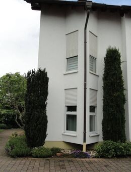 Einziehen - Wohlfühlen! Tolle 3-Zimmer-Erdgeschosswohnung in Toplage - Deidesheim