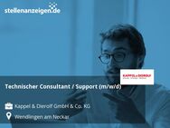 Technischer Consultant / Support (m/w/d) - Wendlingen (Neckar)