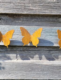 Schmetterling mit Schraube Edelrost - Kraftisried