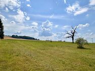 Großzügiges Wohnbaugrundstück in Mohorn (Herzogswalde) - Wilsdruff