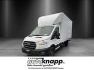 Ford Transit, Einzelkabine Trend 350L4, Jahr 2022 - Weinheim