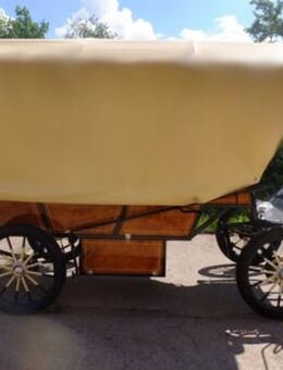 Kutsche Planwagen Kremser Verdeck abnehmbar Wagonette Ein u. Zweispänner - Neumark (Sachsen)