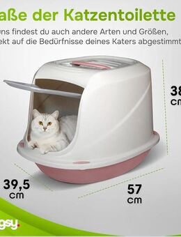 Katzentoilette - Duisburg