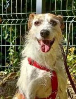 Hallo, ich bin CARINA❤️ - Fahrenzhausen