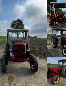 Mc Cormick International Farmall D-320 Traktor - Schefflenz