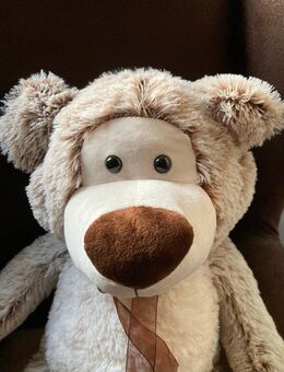 Suche meinen Knuddelbär! - Grünstadt