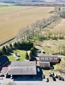 Ein-Zweifamilienhaus mit Gewerbehalle in 49626 Bippen - Ohrtermersch - Bippen