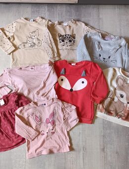 Mädchen Set langarm Shirt Pullover Sweatshirt Größe 80 - Menden (Sauerland)