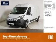 Fiat Ducato, 140 MT L3H2 KaWa verblecht, Jahr 2022 - Pilsach