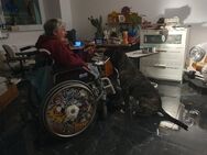 Grönemeyer Karten für Bochum Rollstuhl mit Begleitung gesucht - Dortmund