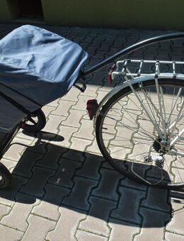 (98) Fahrradanhänger für Lebensmittel - Mainz