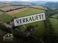 Ehemaliges Bauernhaus mit ca.11ha Grundstück! L-Rosport 5 min! - Ralingen